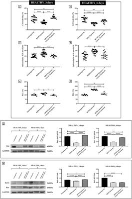 Recombinant irisin prevents cell death and mineralization defects induced by random positioning machine exposure in primary cultures of human osteoblasts: A promising strategy for the osteoporosis treatment